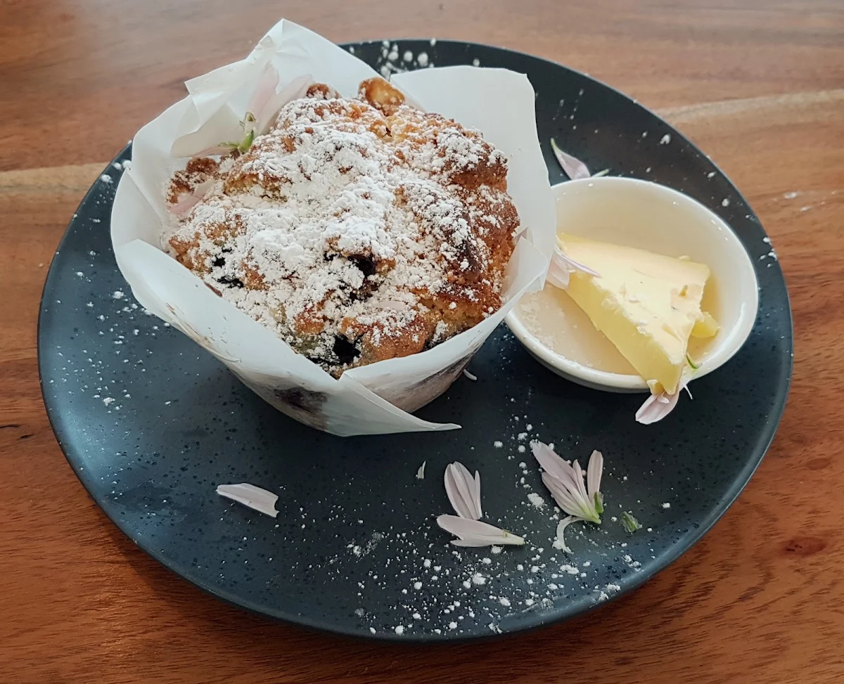 Blueberry Muffin
