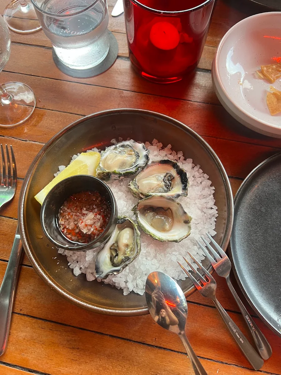 Oysters, Carbon Mexican Woodfire Restaurant Bondi