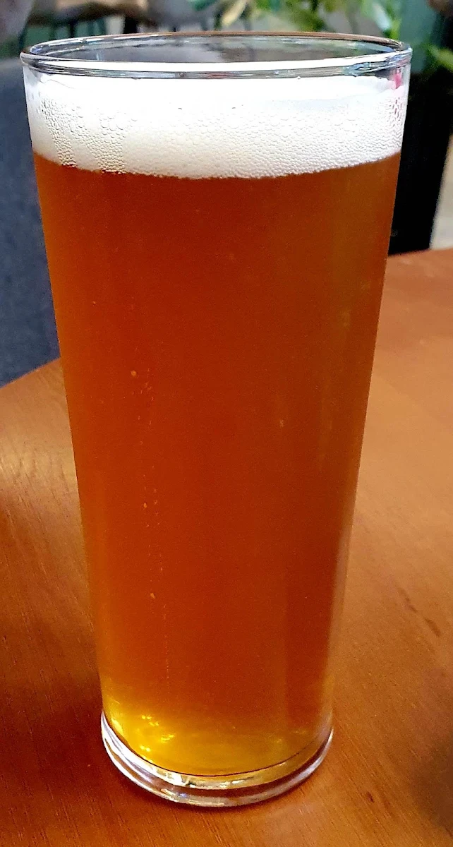 IPA, Golden Hills Brewery