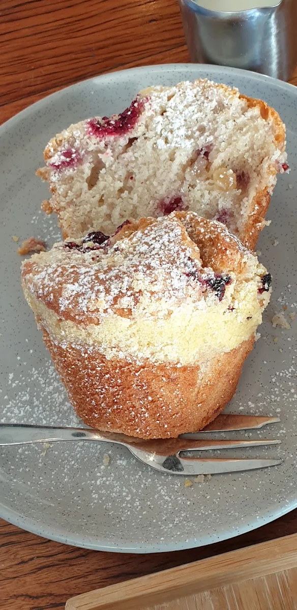 Blueberry Muffin