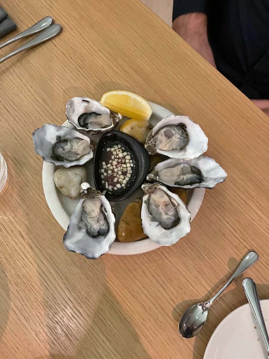 Oysters on the Half Shell