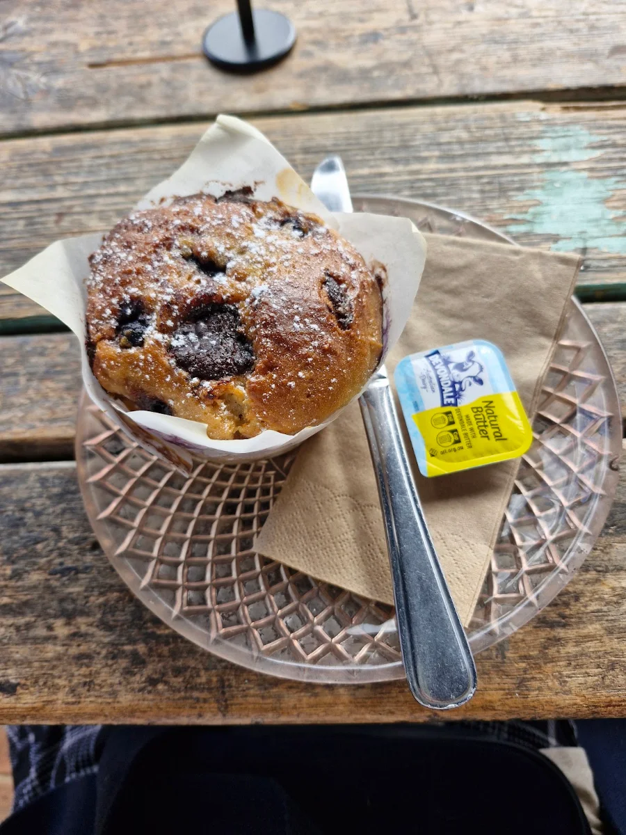 Blueberry Chocolate Muffin