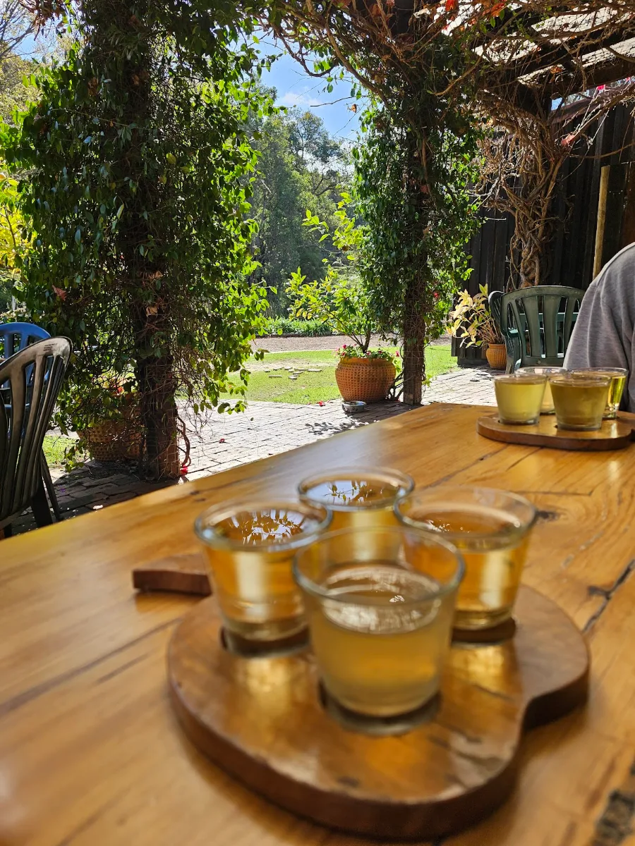 Beer Tasting Tray