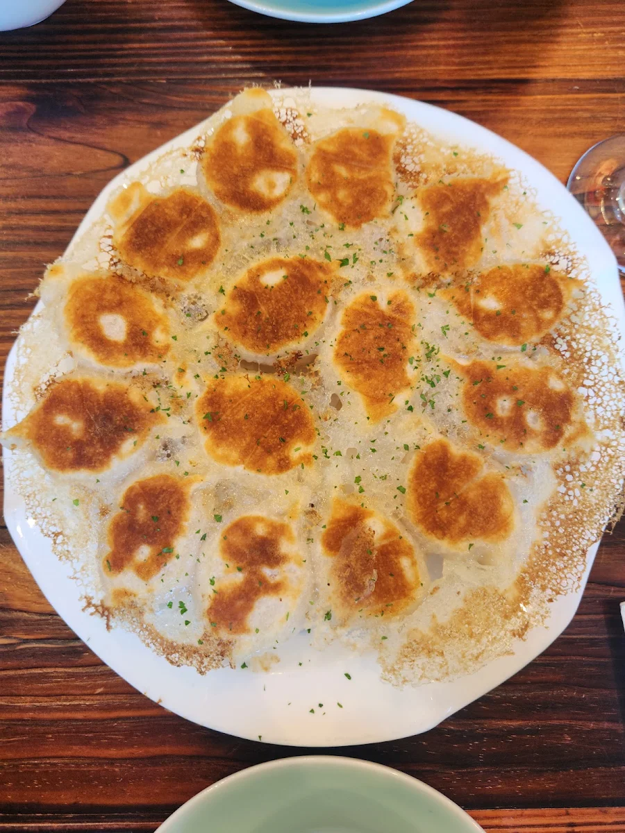 Highlights, Tao Dumplings Brighton