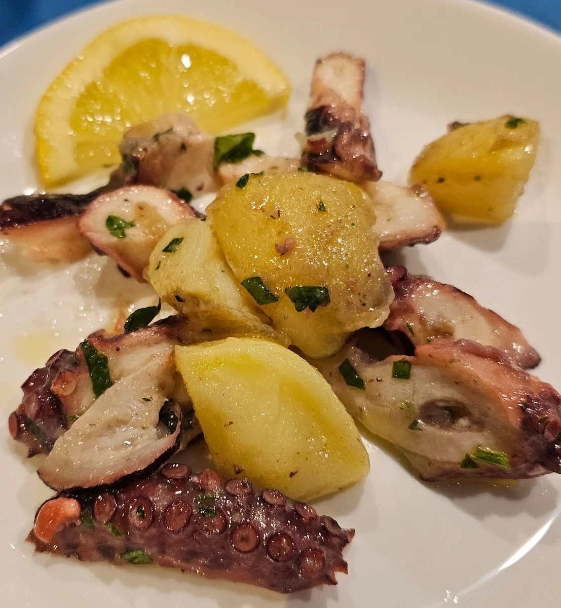 Octopus, il baretto