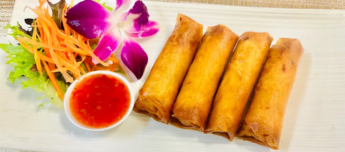 Vegetable Spring Rolls