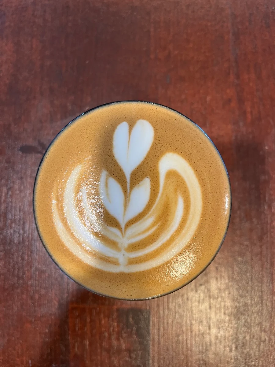 Flat White, Dad and the Frog Cafe