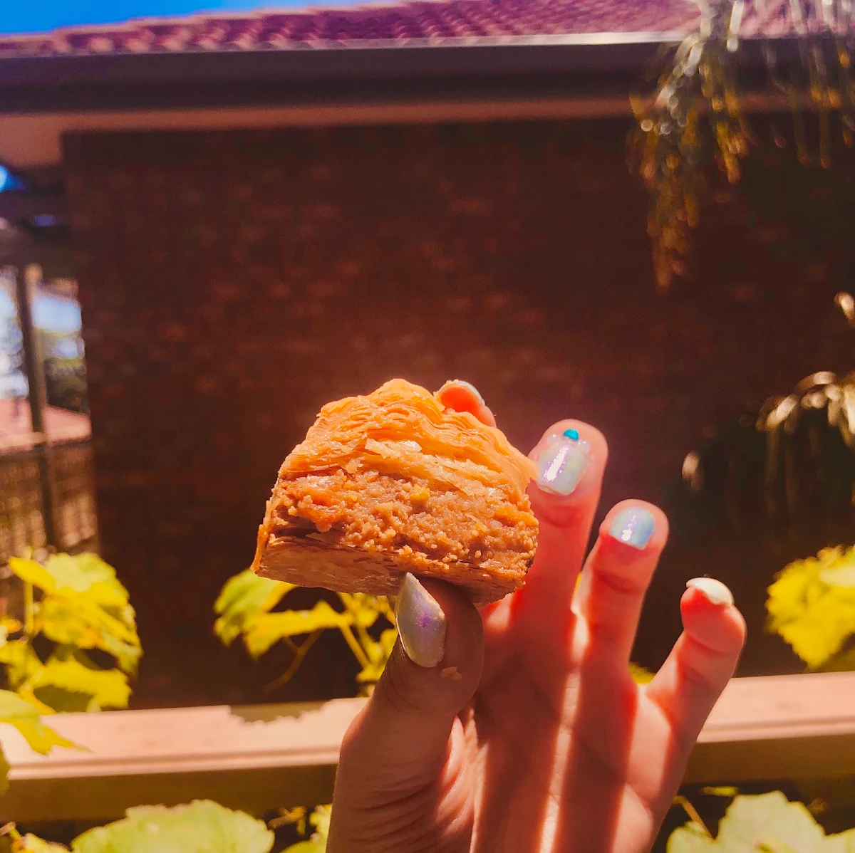 Mixed Baklava
