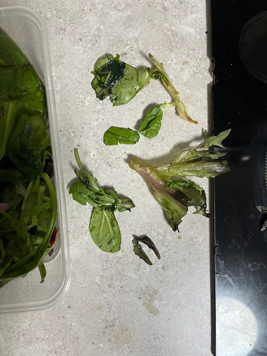 Italian Salad