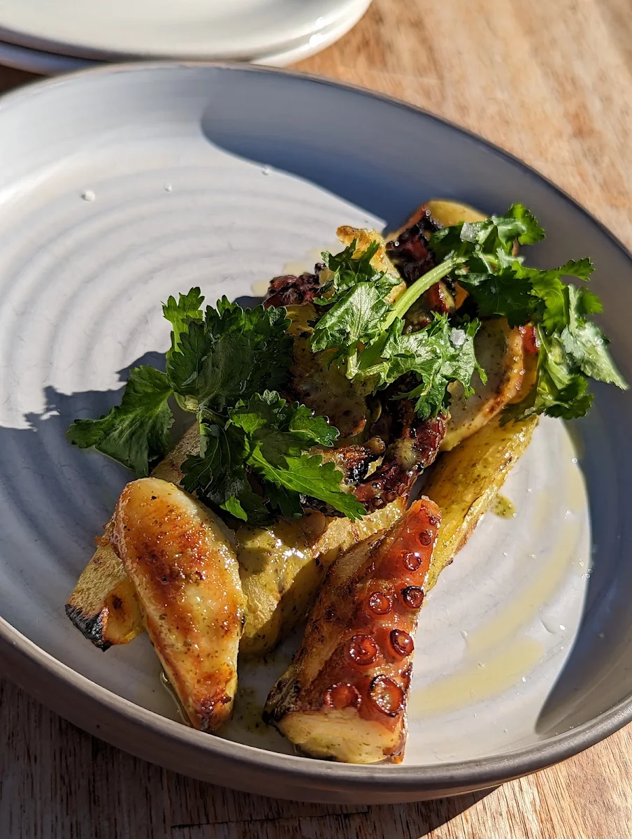 Grilled Octopus