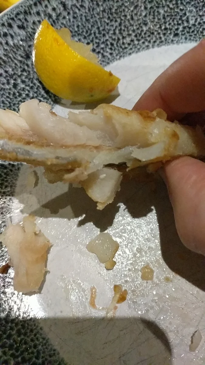 Raw Fish, Kachi Kachi