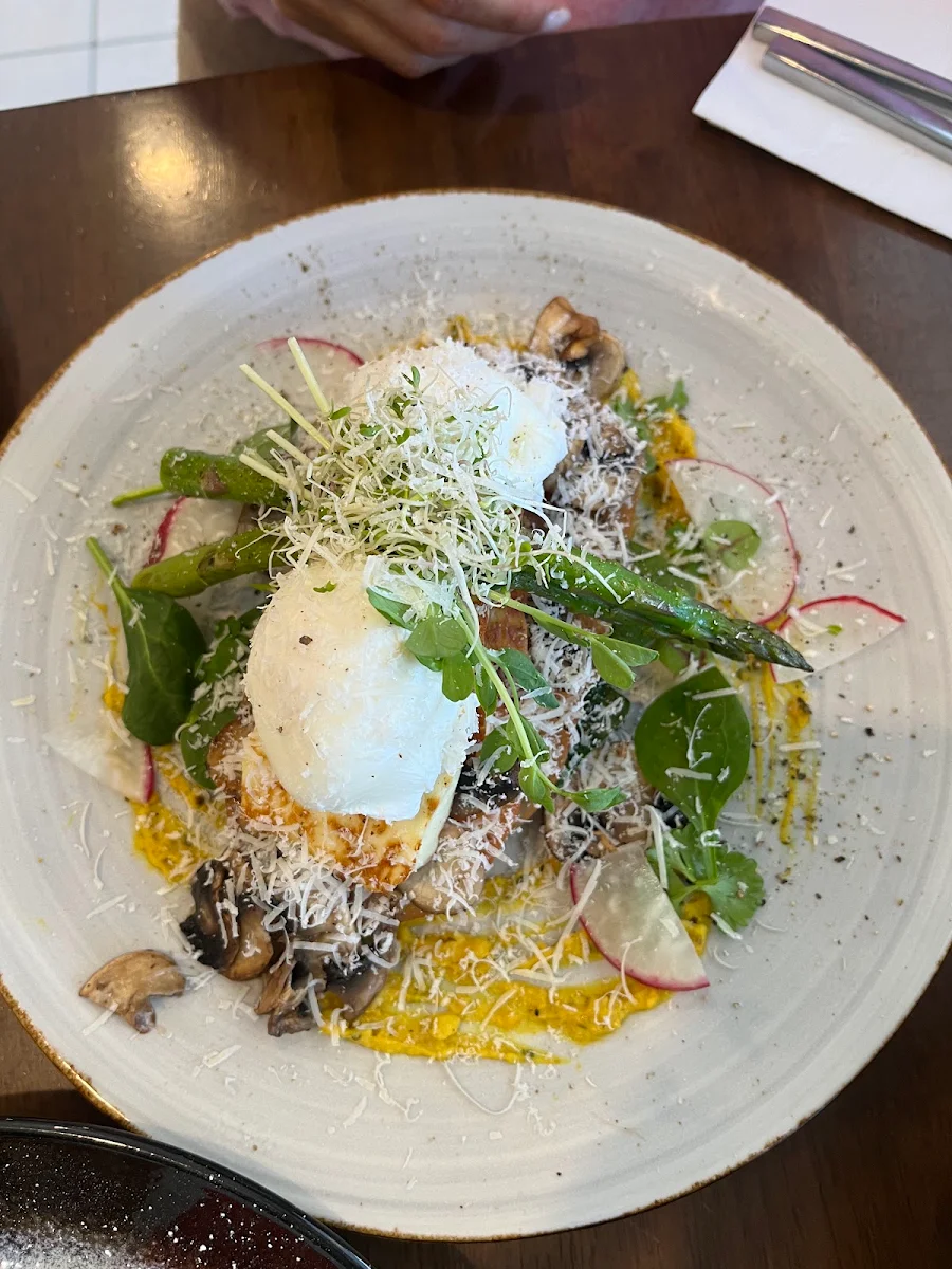 Highlights, Cafe Divine