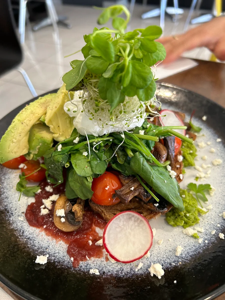 Highlights, Cafe Divine