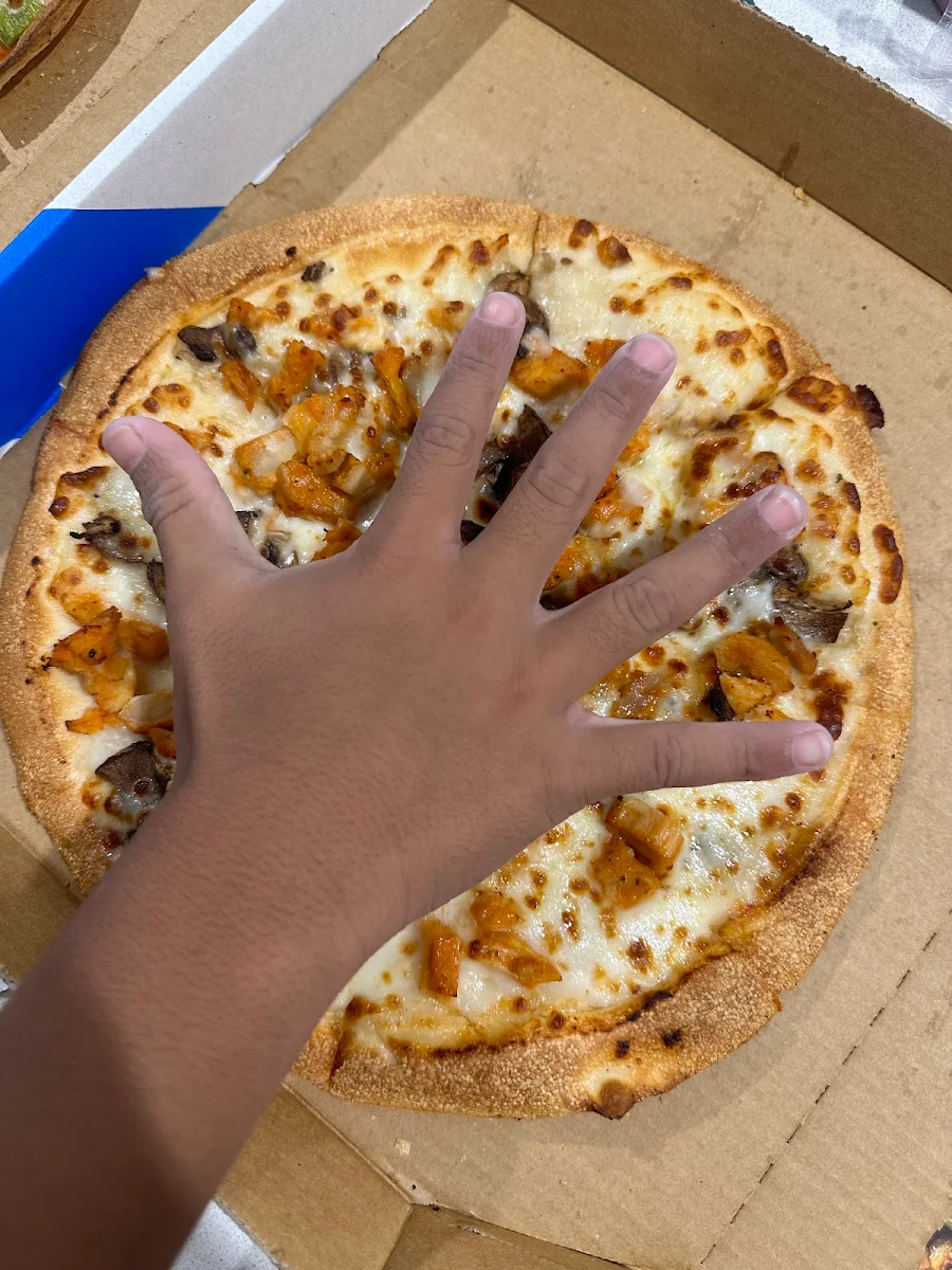 Highlights, Domino's Pizza Cronulla