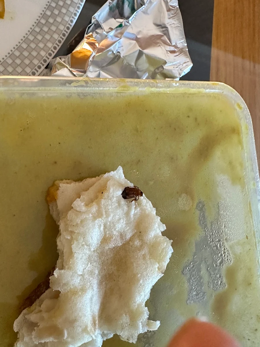 Highlights, shagun indian restaurant