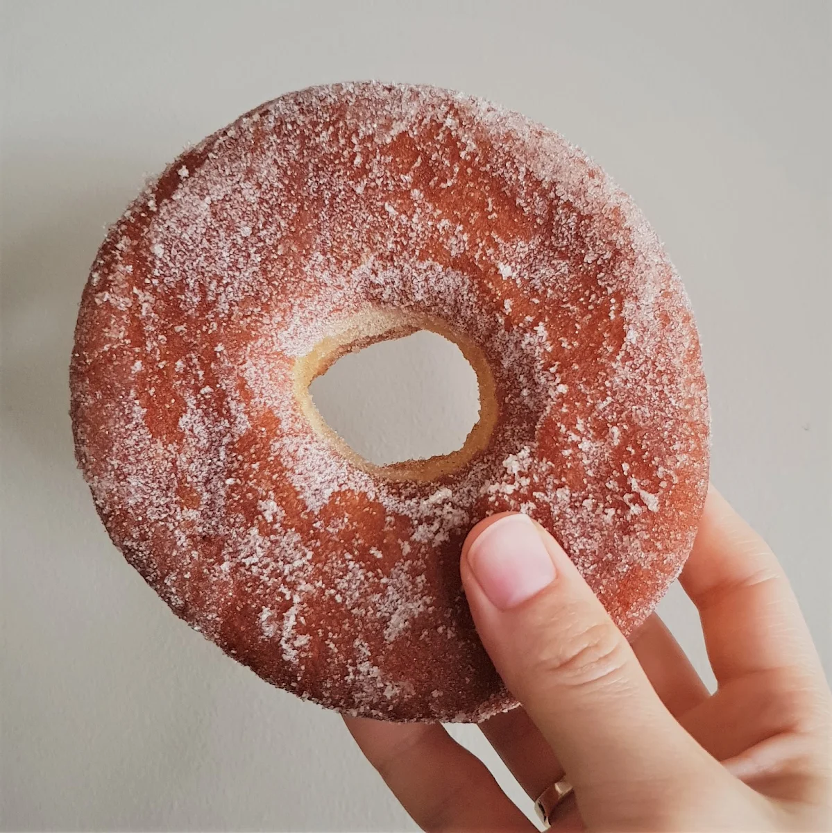 Doughnut