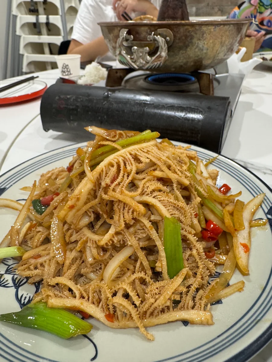 Highlights, 小辣椒 Chili Lab
