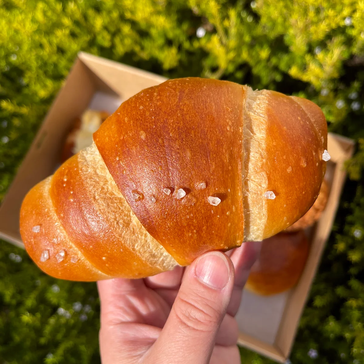 Basic Salt Bread-K, BREAD K
