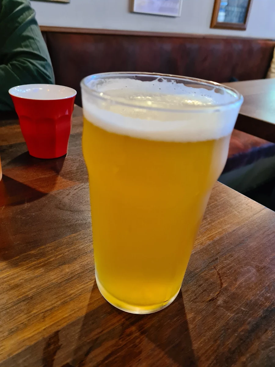 Cold Beer, Caribou Kingston