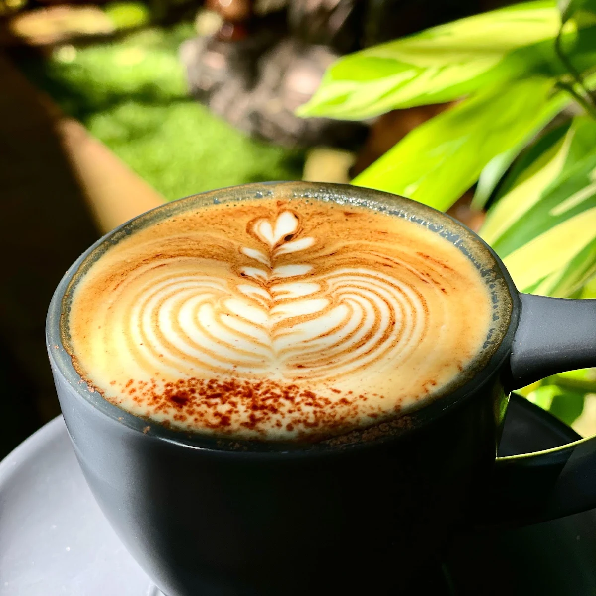 Highlights, Cafe Jolie