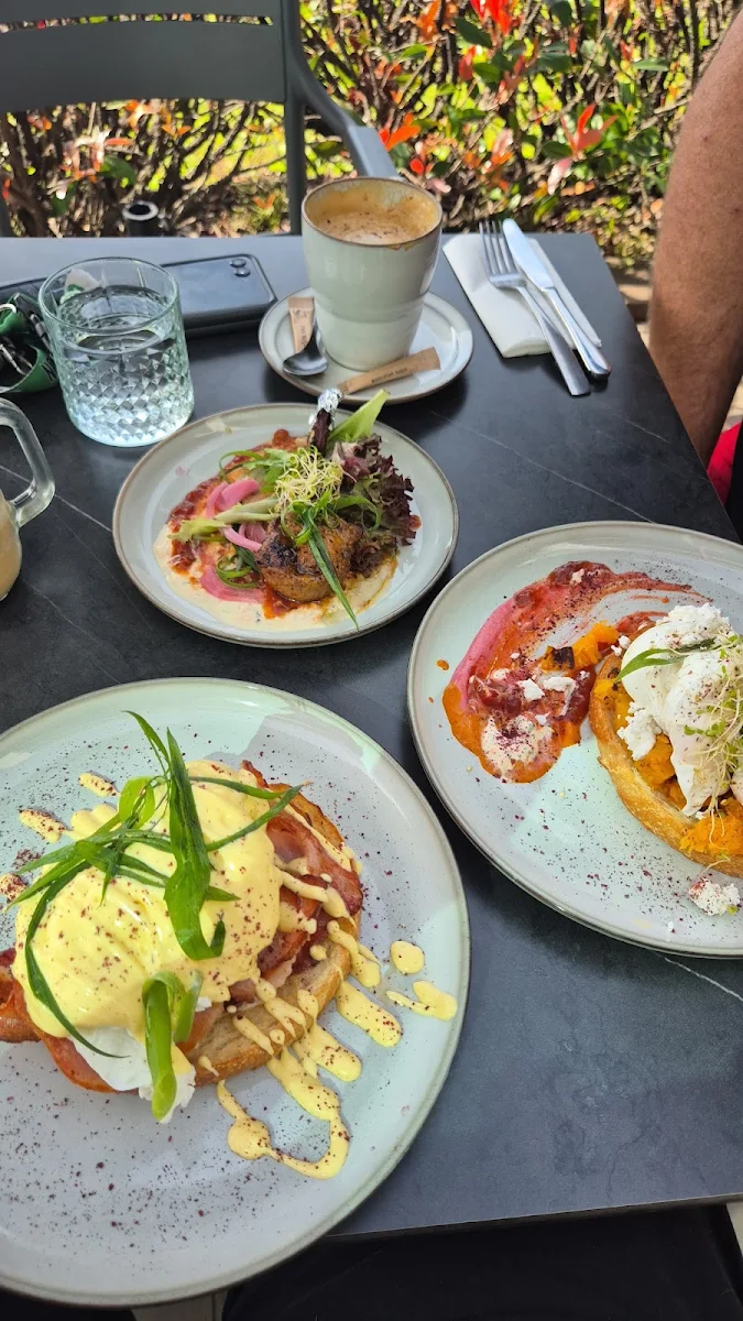 Smashed Avocado Adventure, Lexi's Cafe & bar