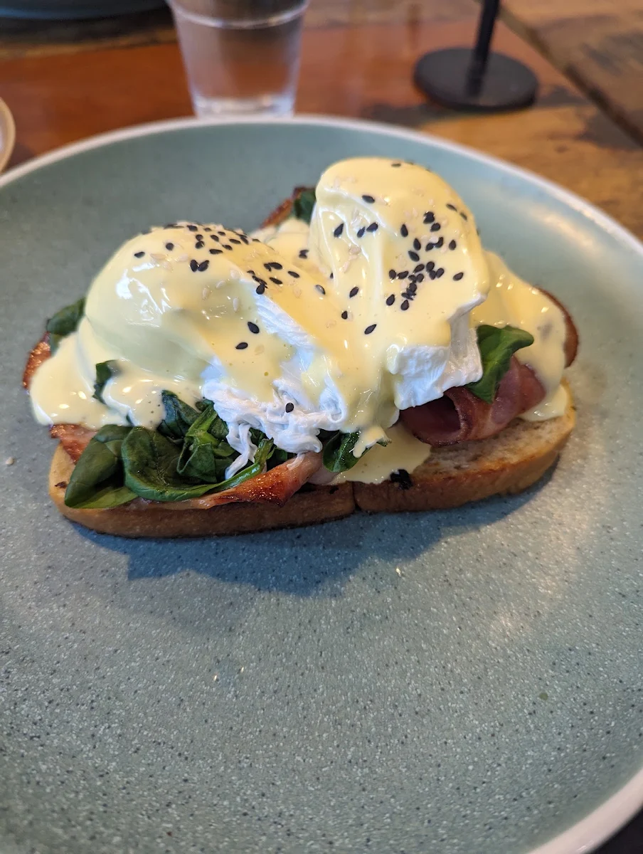 Highlights, Coffee & Kitchen Ballina