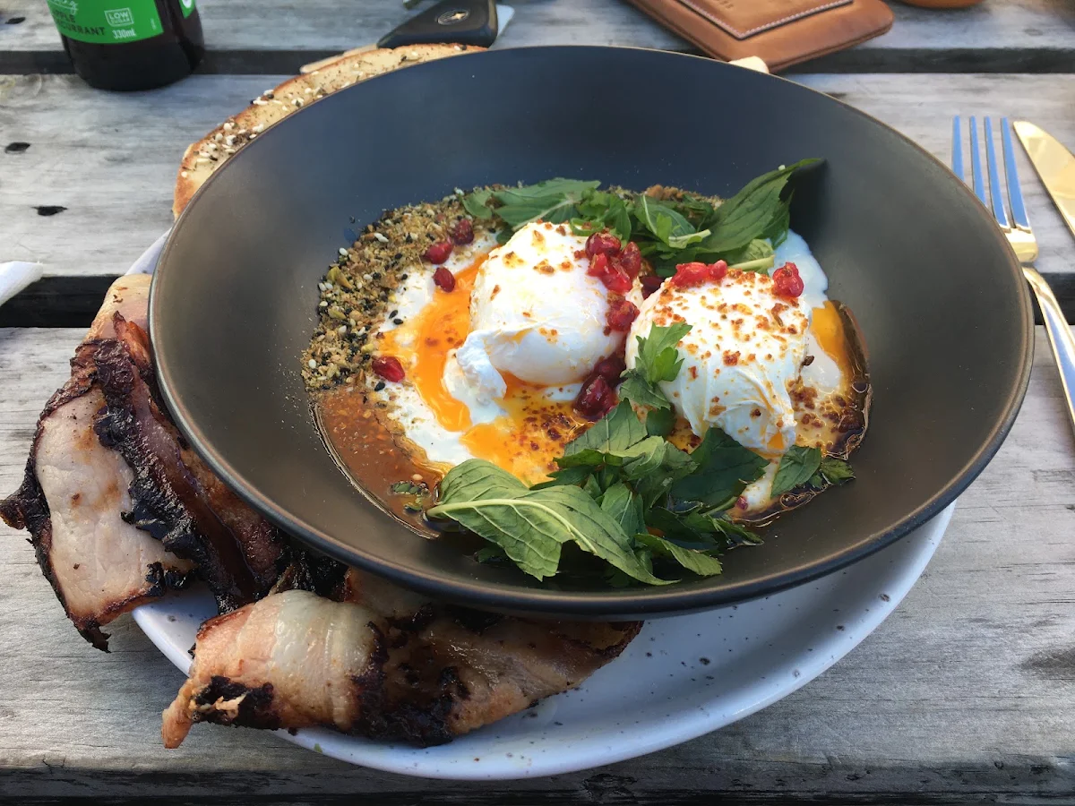 Poached Eggs, Two Dogs Laughing