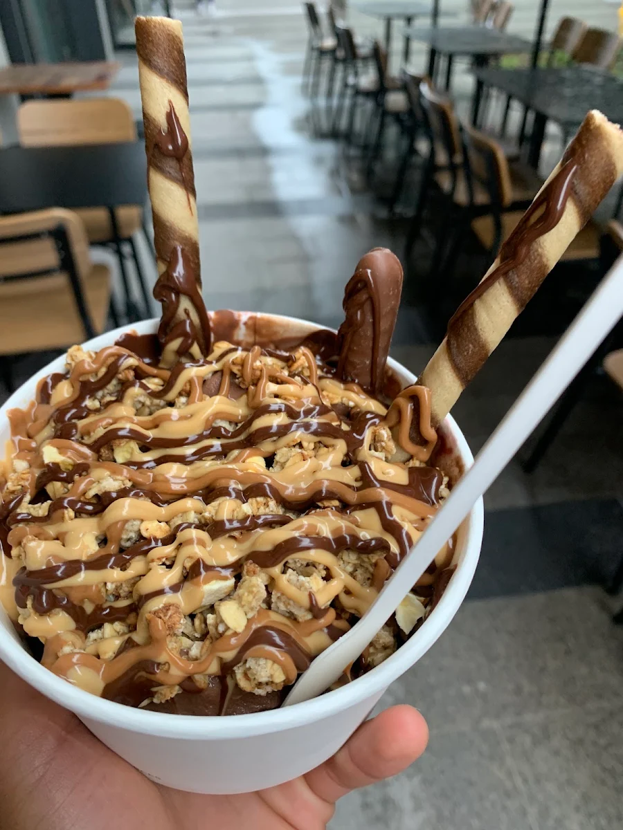 Highlights, Icy bear Frozen Yoghurt and Açai (Dessert Bar)