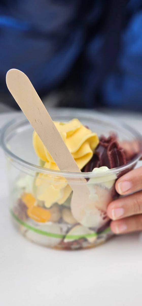 Highlights, Icy bear Frozen Yoghurt and Açai (Dessert Bar)