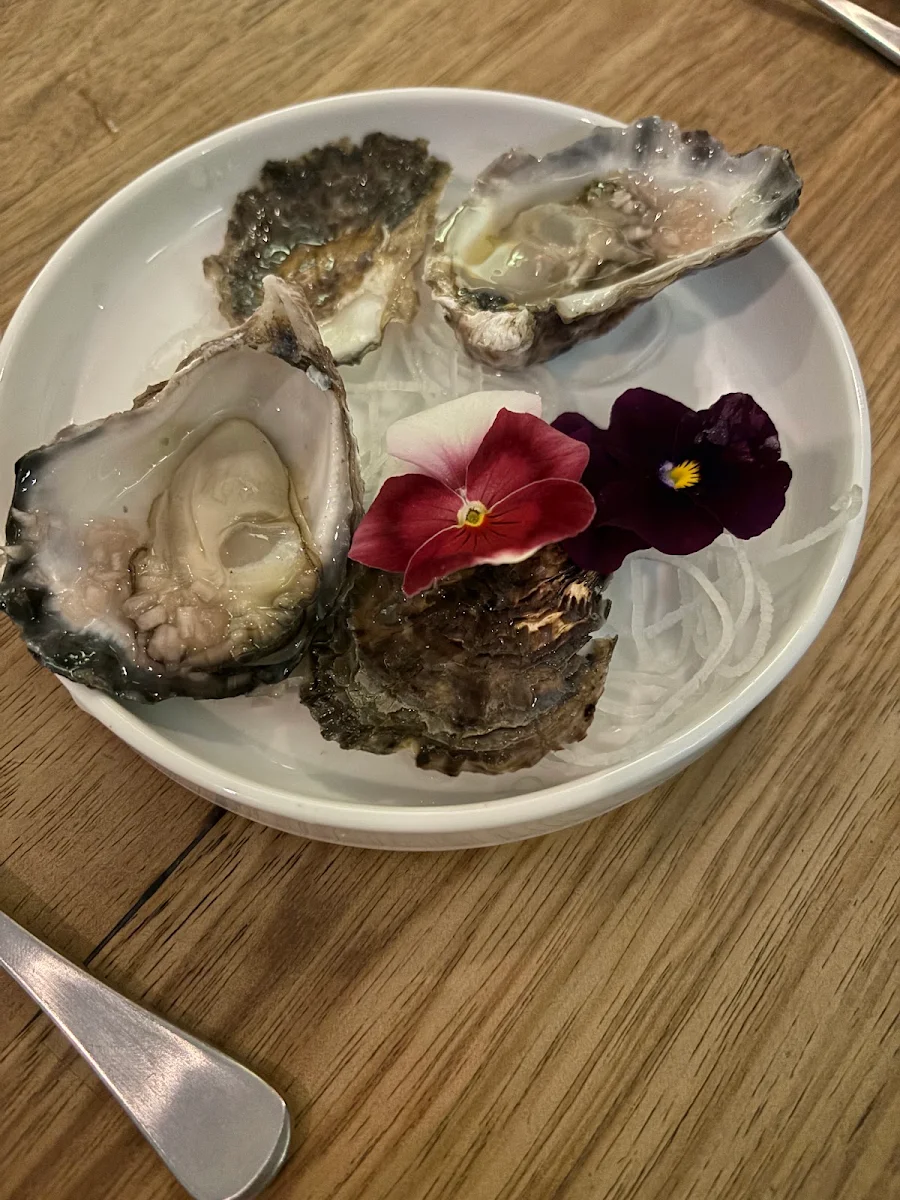 Oysters