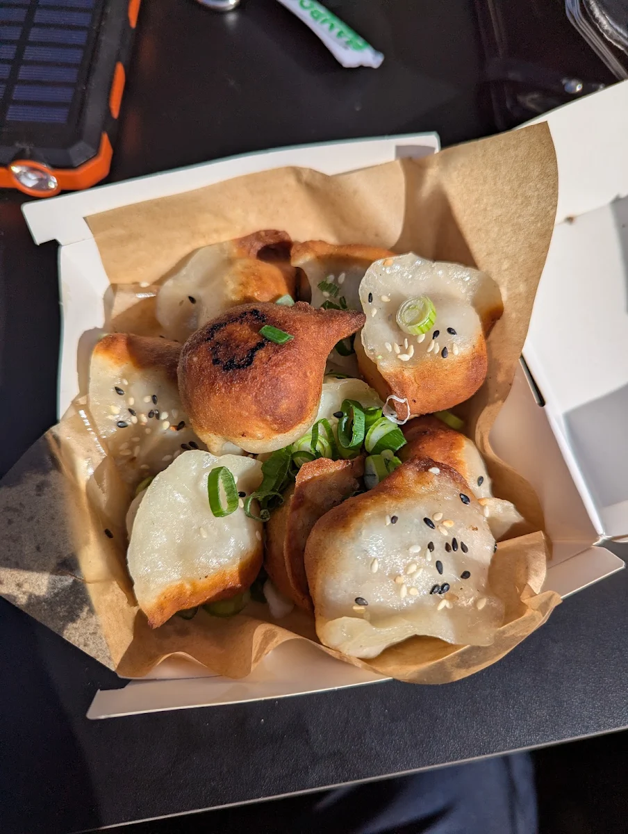 Pan Fried Pork Dumplings, Fine China