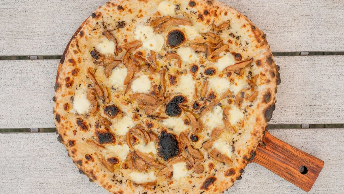 Highlights, Fired Up Pizza