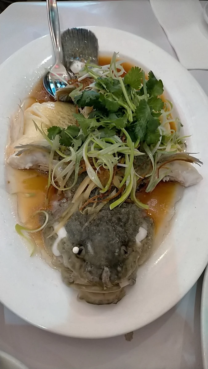 Steamed Fish Fillets with Ginger and Shallots in Soy Sauce 清蒸鱼块