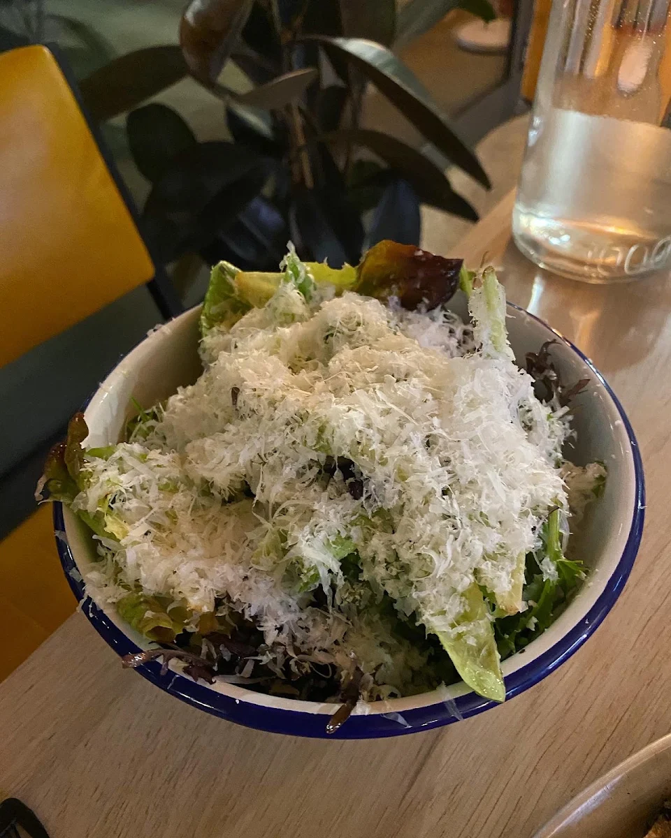 Salad, Pizza Elettrica