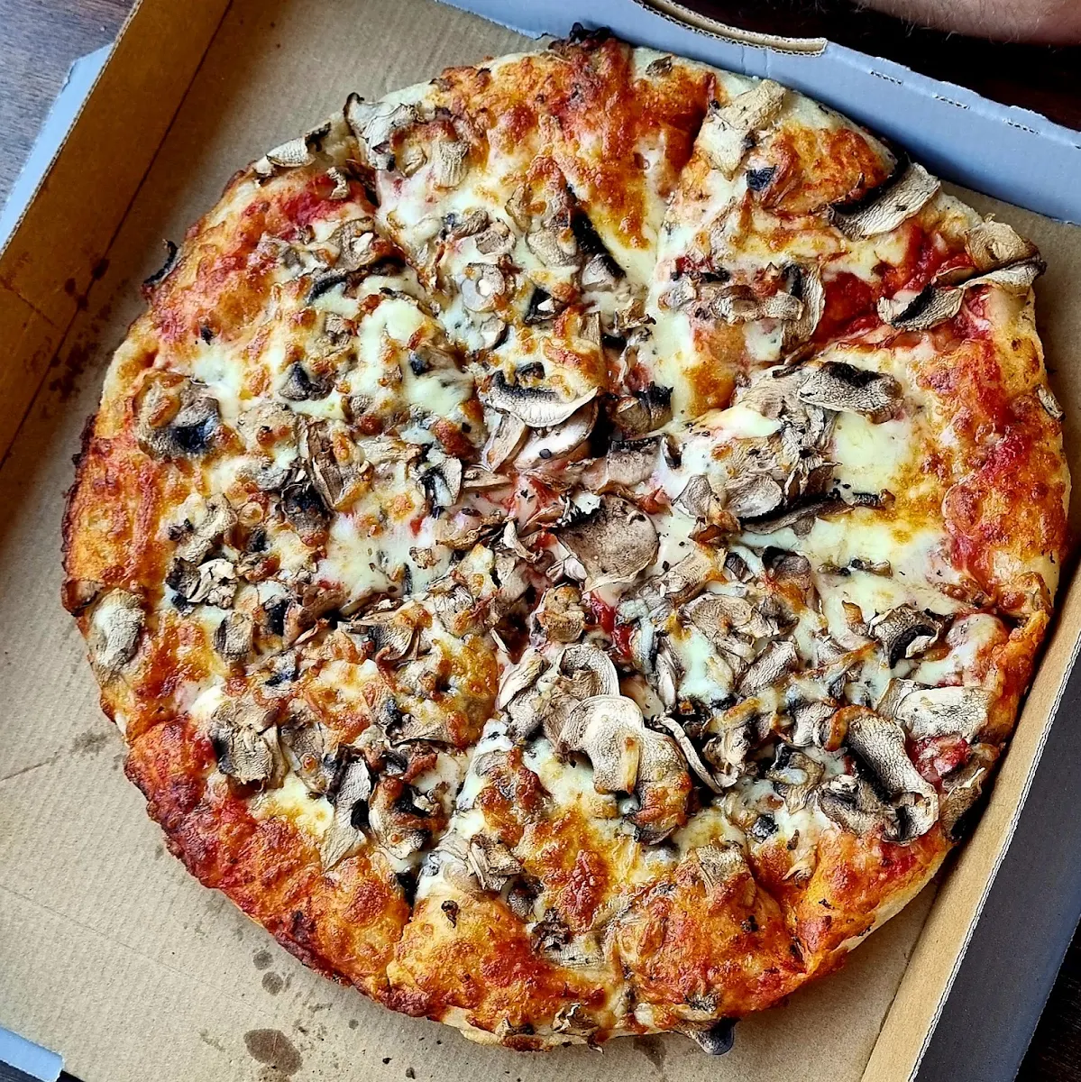 Funghi, Medici
