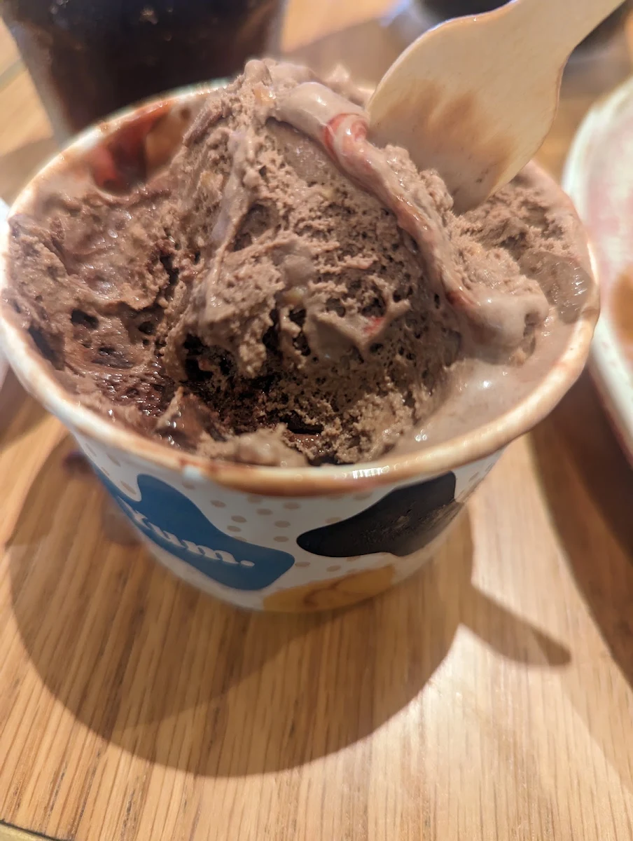 Chocolate Ice Cream