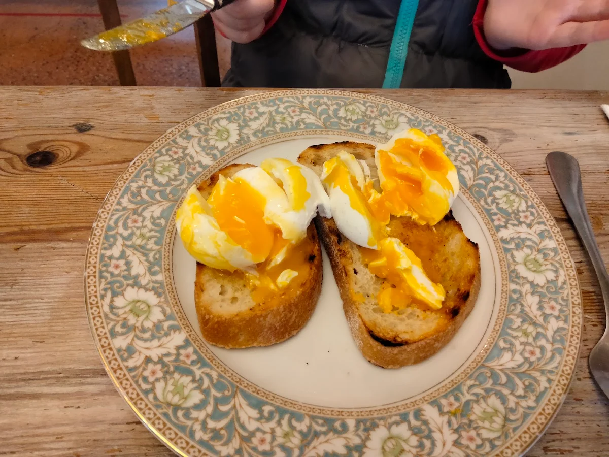 Poached Eggs and Toast
