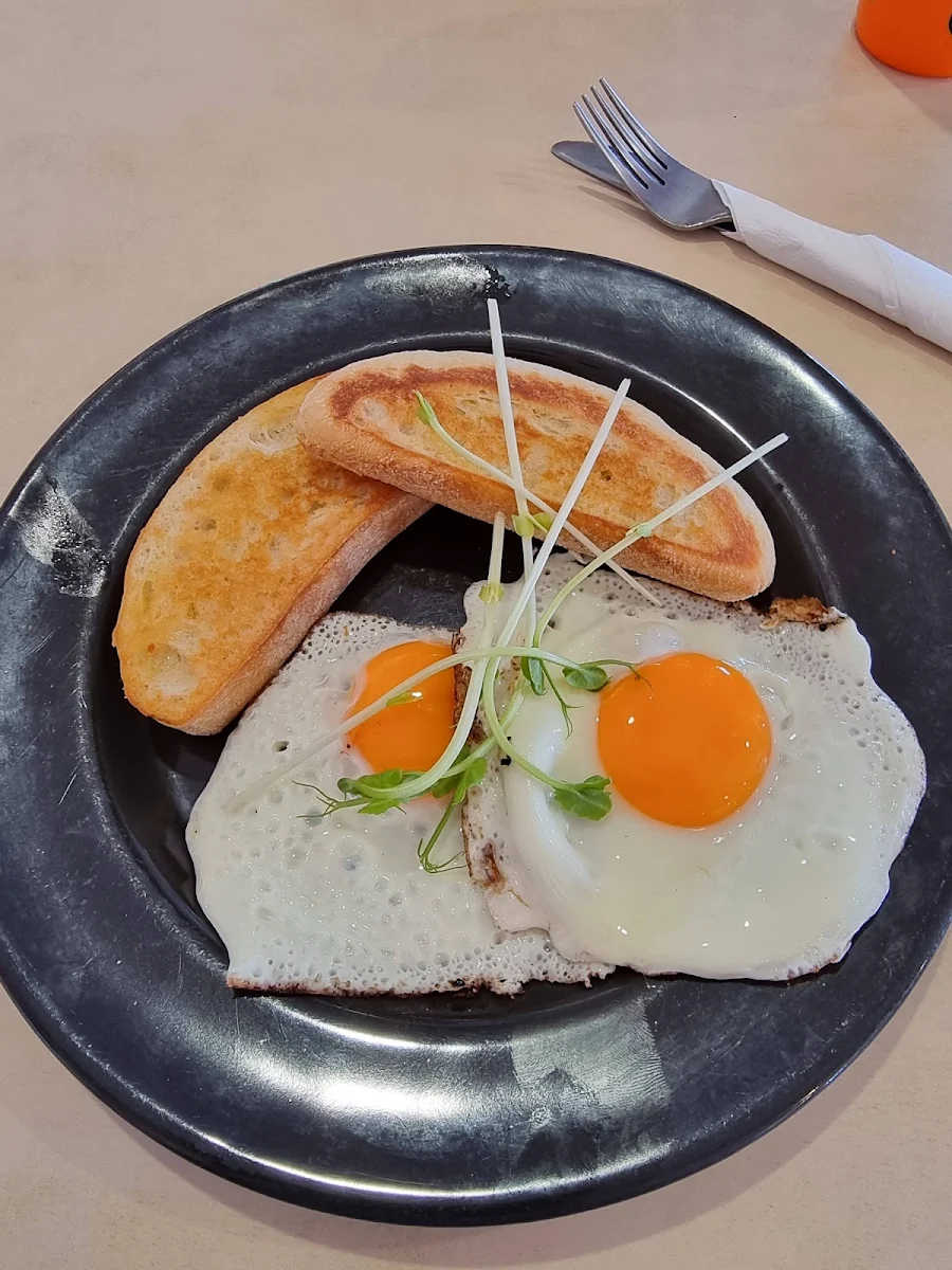 Fried Eggs