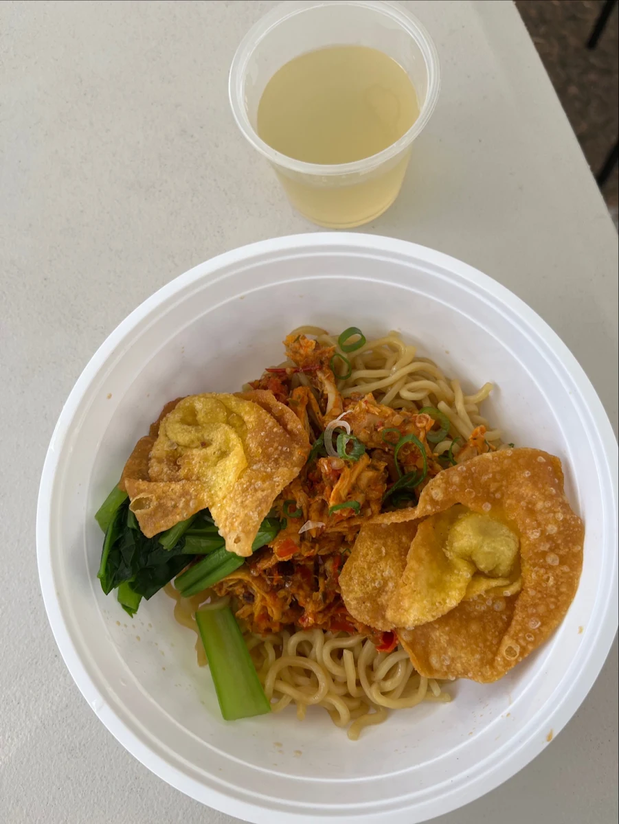 Chicken Noodles with Fried Dumplings
