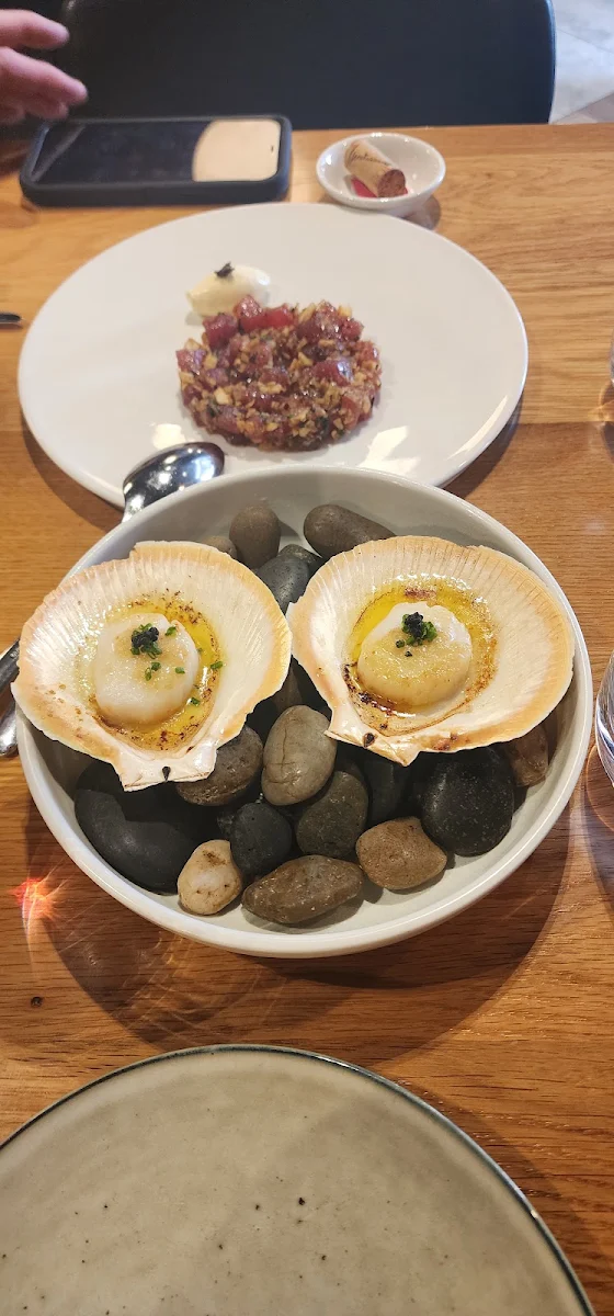 Scallops on the Half Shell
