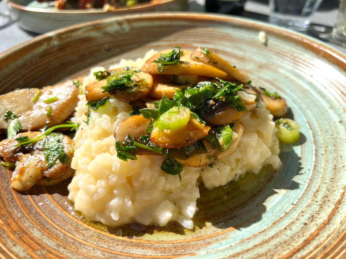 Mushroom Risotto