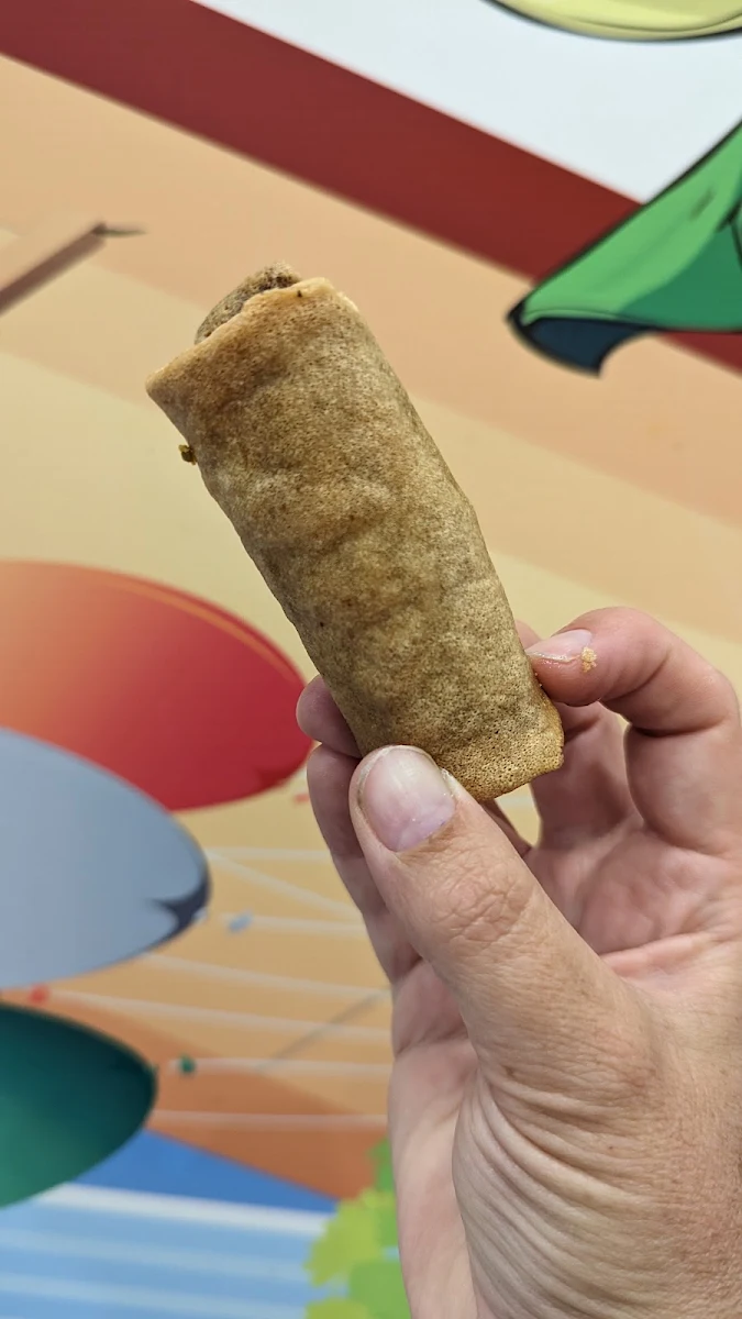 Spring Rolls, Ginger And Garlic Indian Cuisine