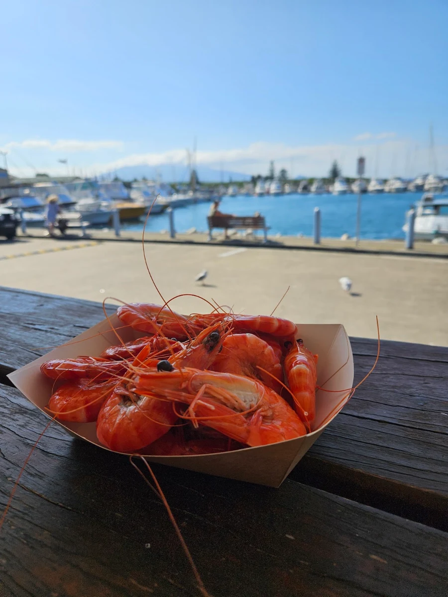 Tiger Prawns, Bluewave Seafood - Take away food near Bermagui, fish and chips Restaurants
