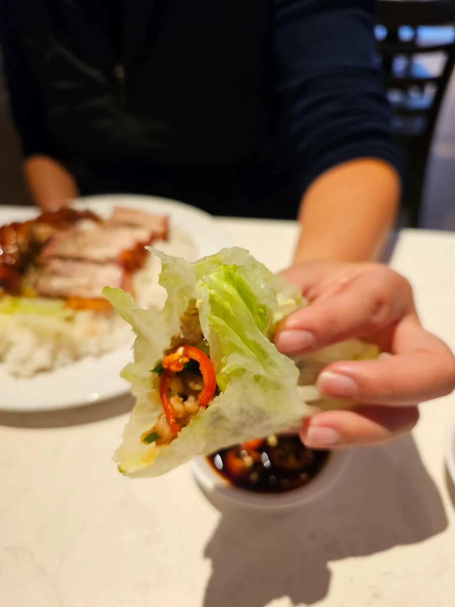 Peking Duck, Wok N BBQ Burwood