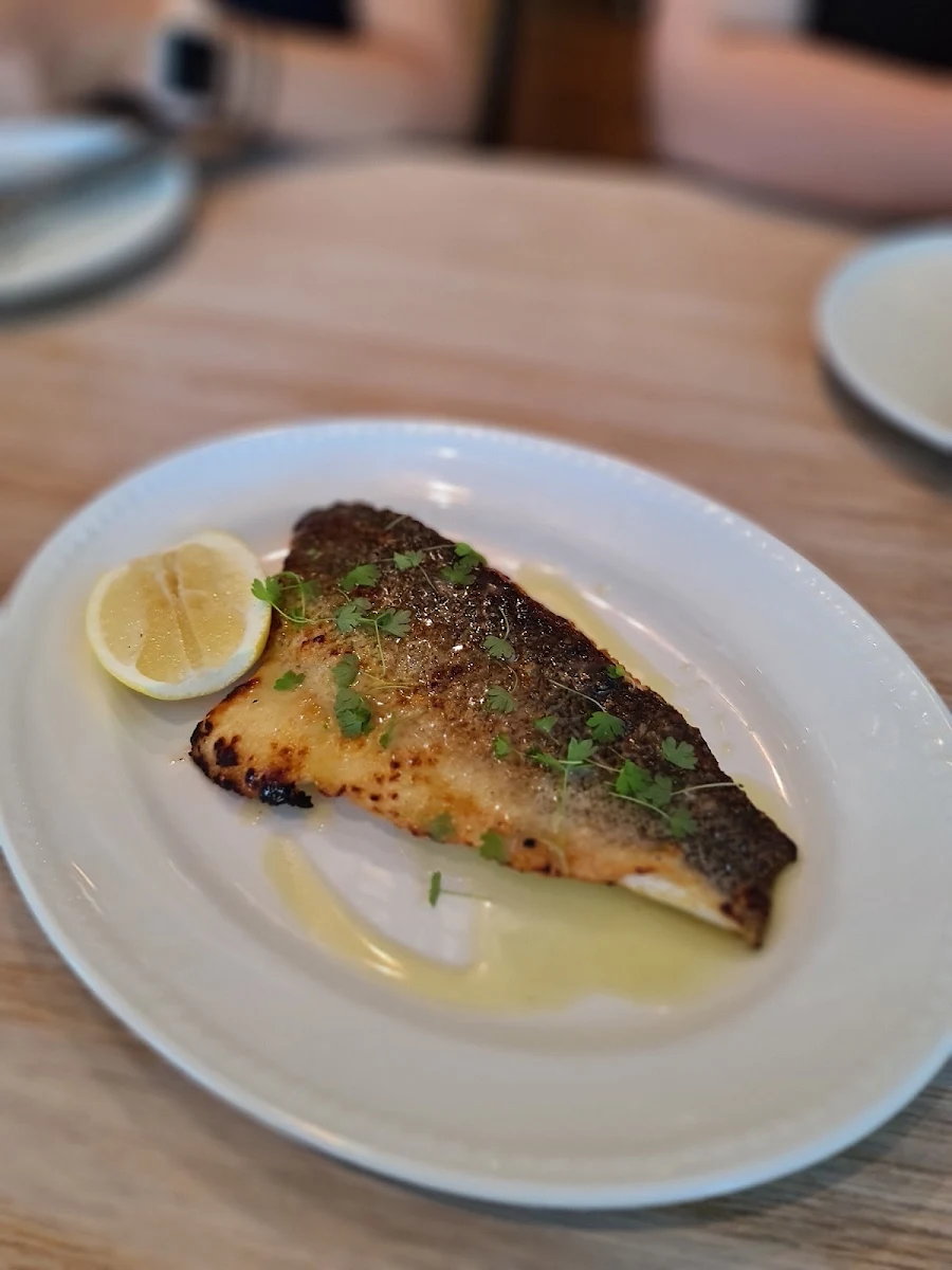 Murray Cod, Sofia on Cleveland