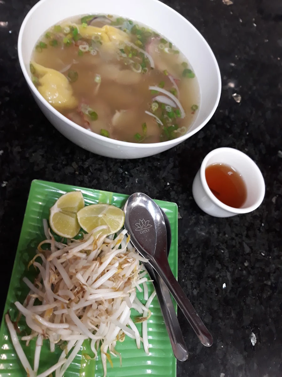 BBQ Pork and Wonton Noodle Soup