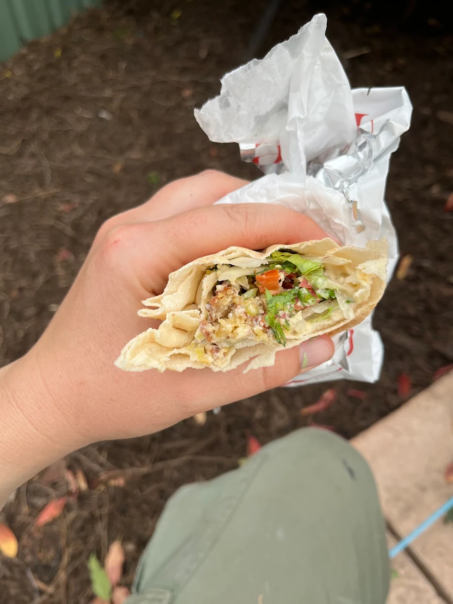Falafel Kebab Large