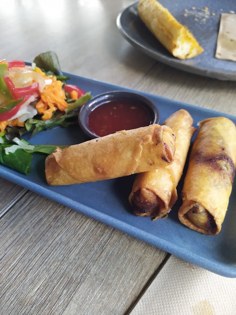Duck Spring Rolls