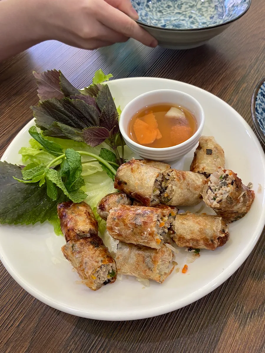Fried Spring Rolls, Hanoi on King Newtown