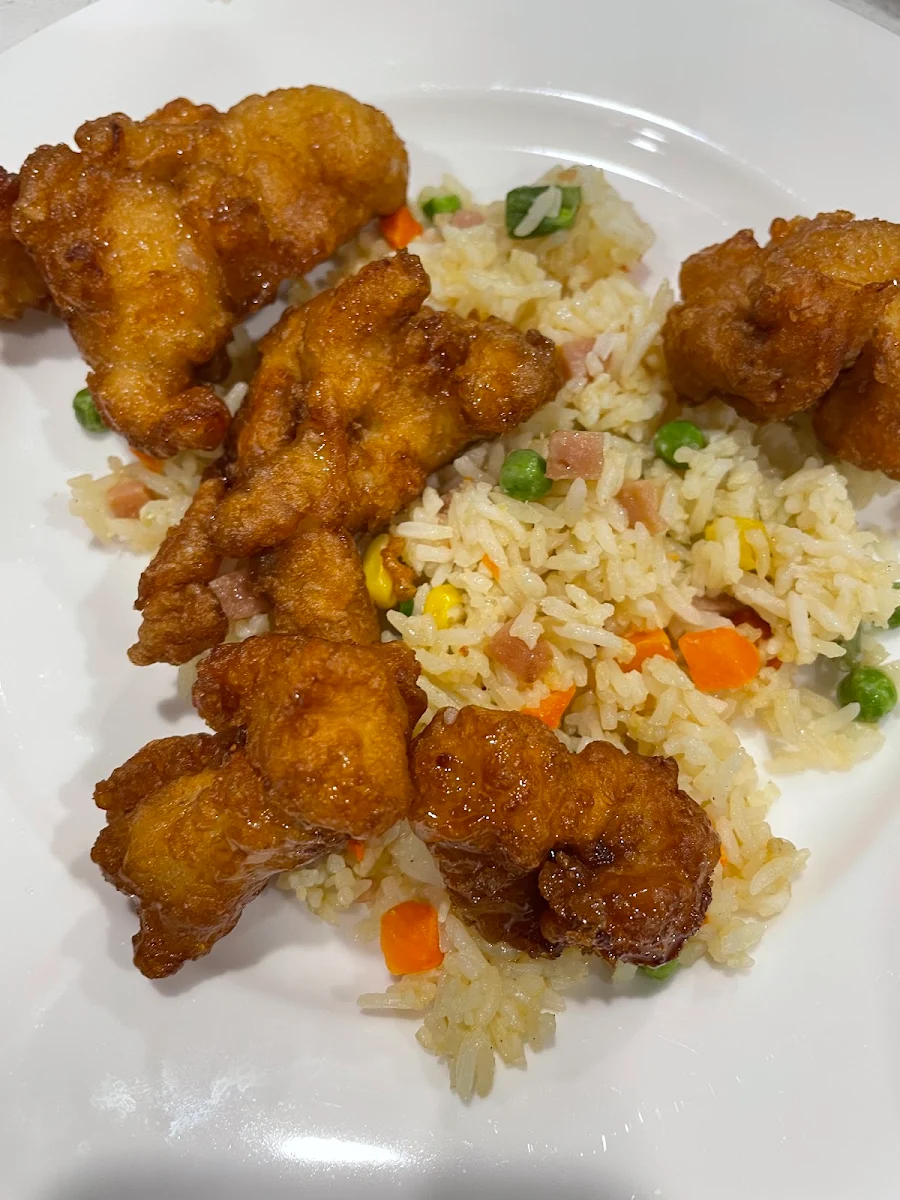 Honey Chicken and Fried Rice